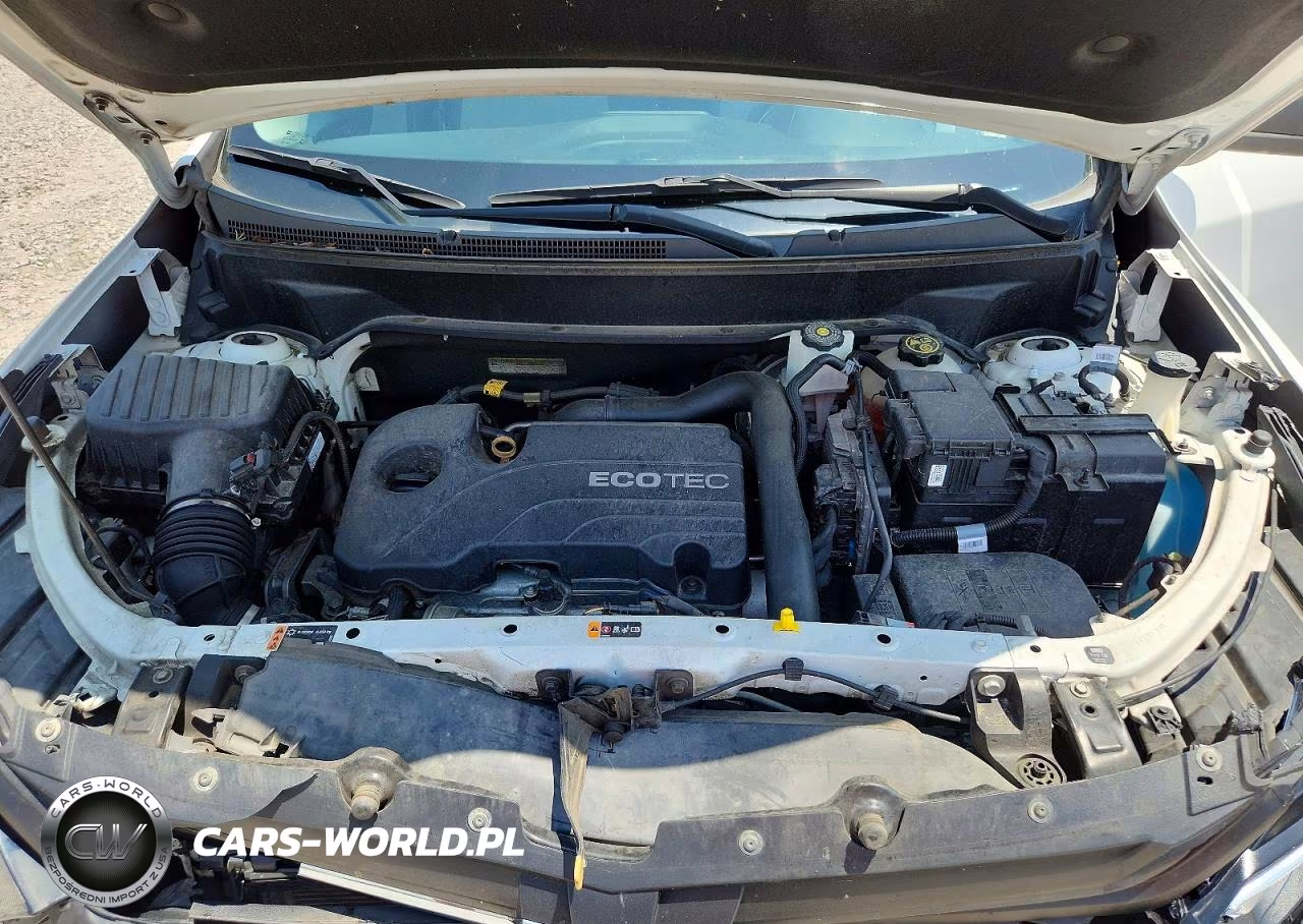 2019 Chevrolet Equinox Ls VIN:3GNAXHEV4KS673458 - 12