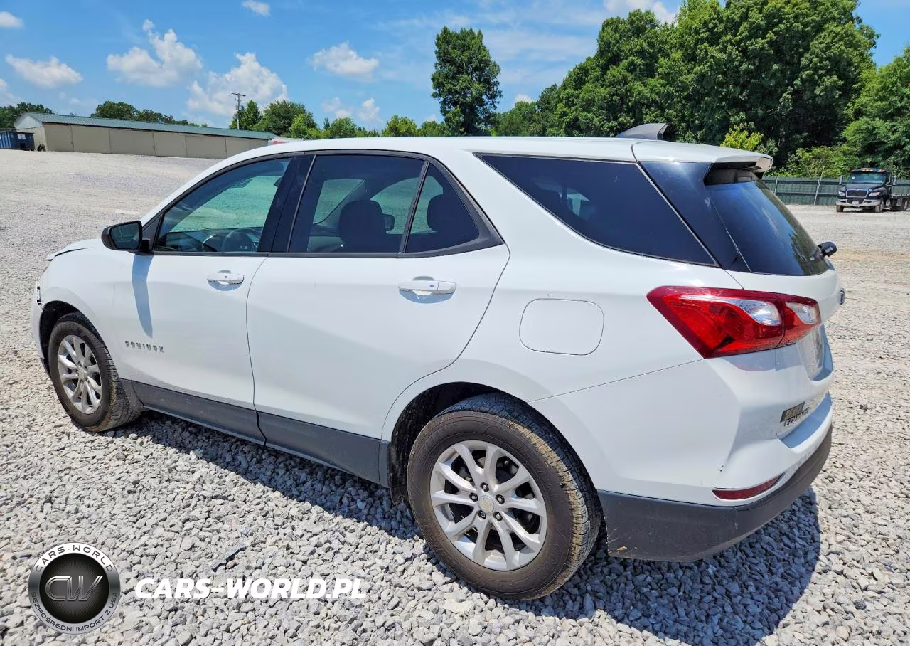 2019 Chevrolet Equinox Ls VIN:3GNAXHEV4KS673458 - 2