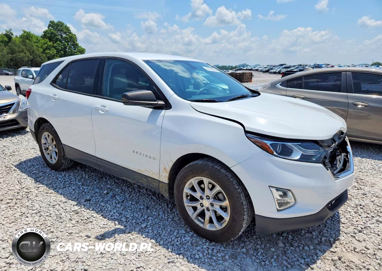 2019 Chevrolet Equinox Ls VIN:3GNAXHEV4KS673458 - 4