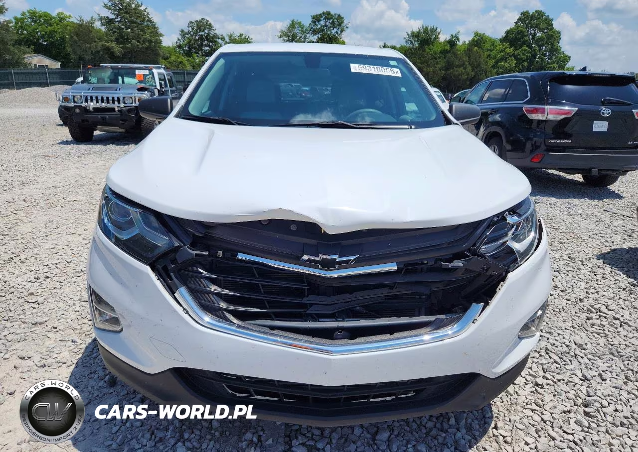 2019 Chevrolet Equinox Ls VIN:3GNAXHEV4KS673458 - 5