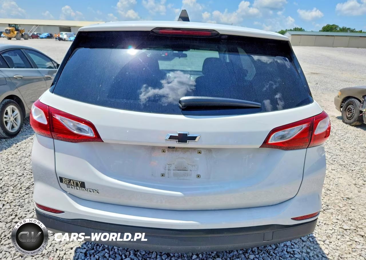 2019 Chevrolet Equinox Ls VIN:3GNAXHEV4KS673458 - 6