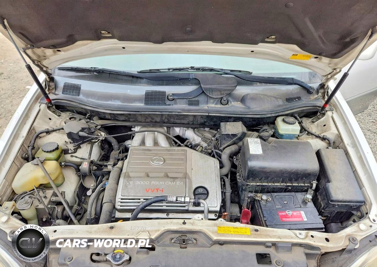 2001 Lexus Rx 300 VIN:JTJGF10UX10094912 - 12