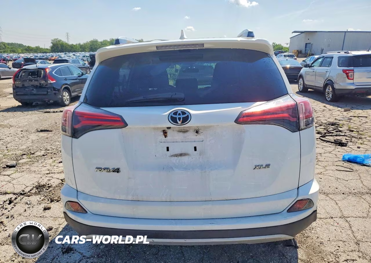 2016 Toyota Rav4 Xle VIN:2T3WFREV1GW270491 - 6