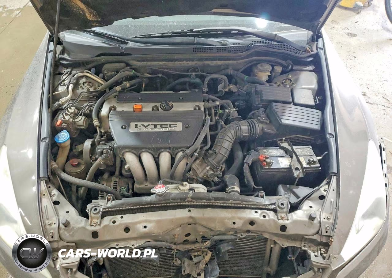 2006 Honda Accord Ex VIN:1HGCM55806A145203 - 11