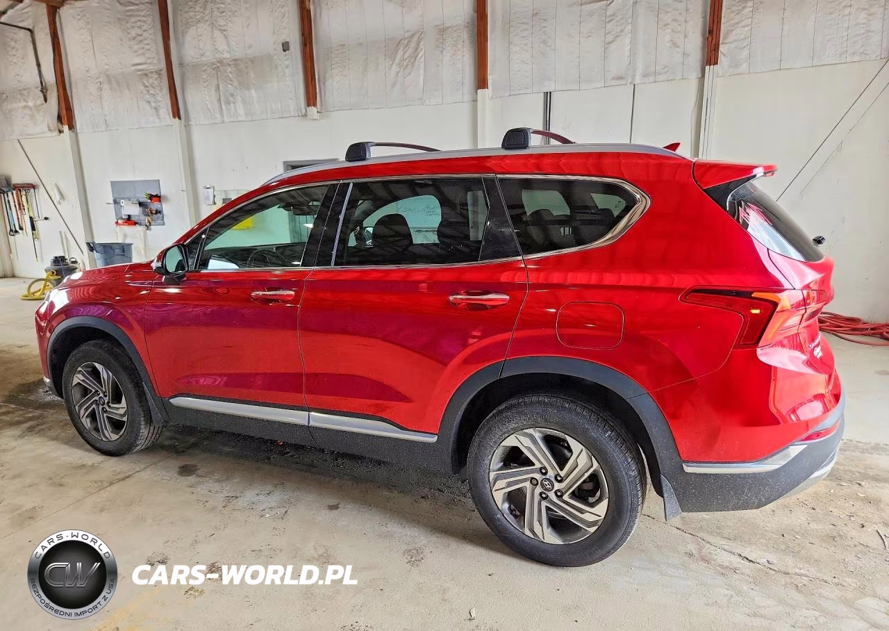 2021 Hyundai Santa Fe Sel VIN:5NMS6DAJ7MH370485 - 2