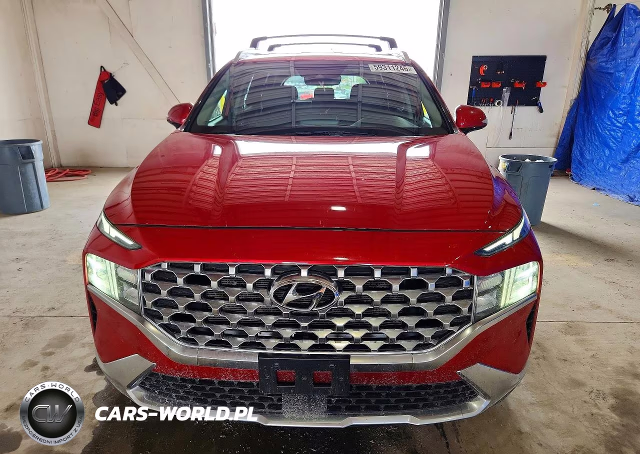 2021 Hyundai Santa Fe Sel VIN:5NMS6DAJ7MH370485 - 5