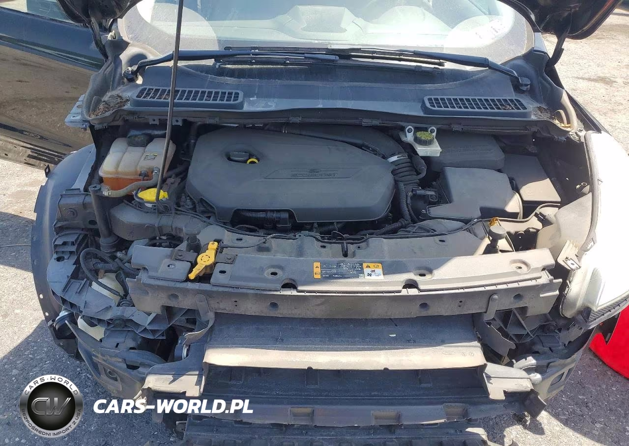 2013 Ford Escape Se VIN:1FMCU0GX6DUA84095 - 12