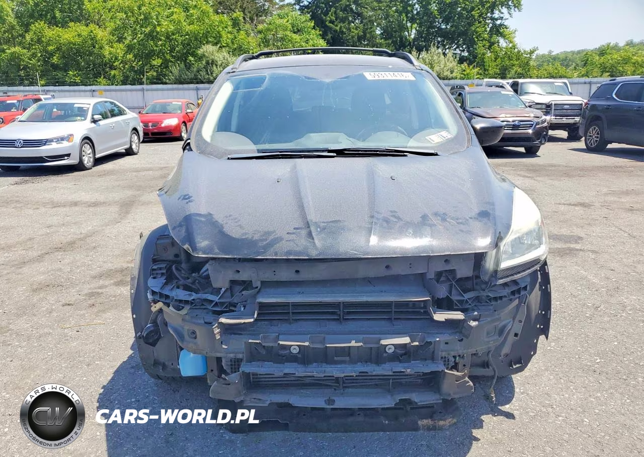 2013 Ford Escape Se VIN:1FMCU0GX6DUA84095 - 5