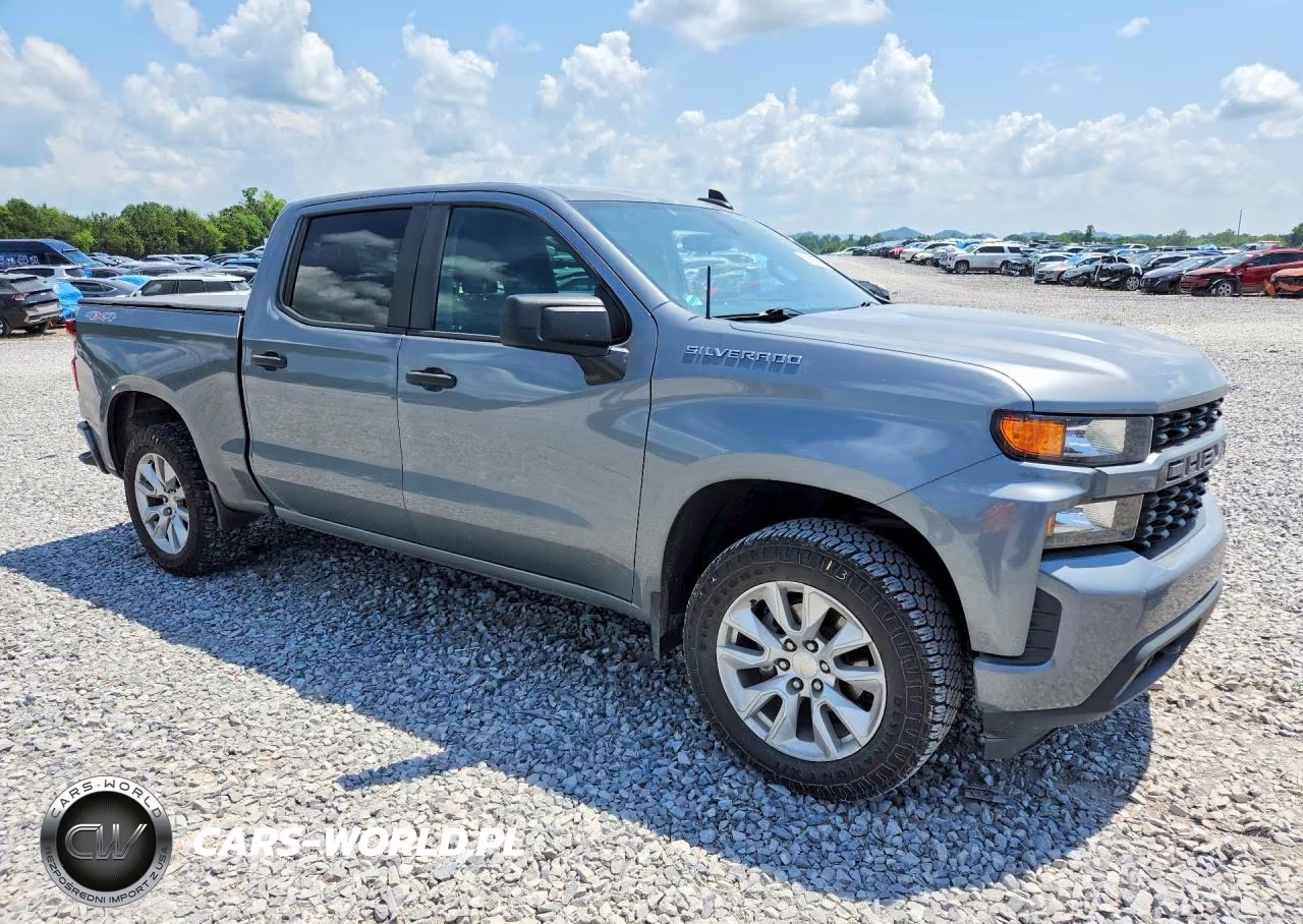 2020 Chevrolet Silverado K1500 Custom VIN:1GCUYBEF2LZ143387 - 4