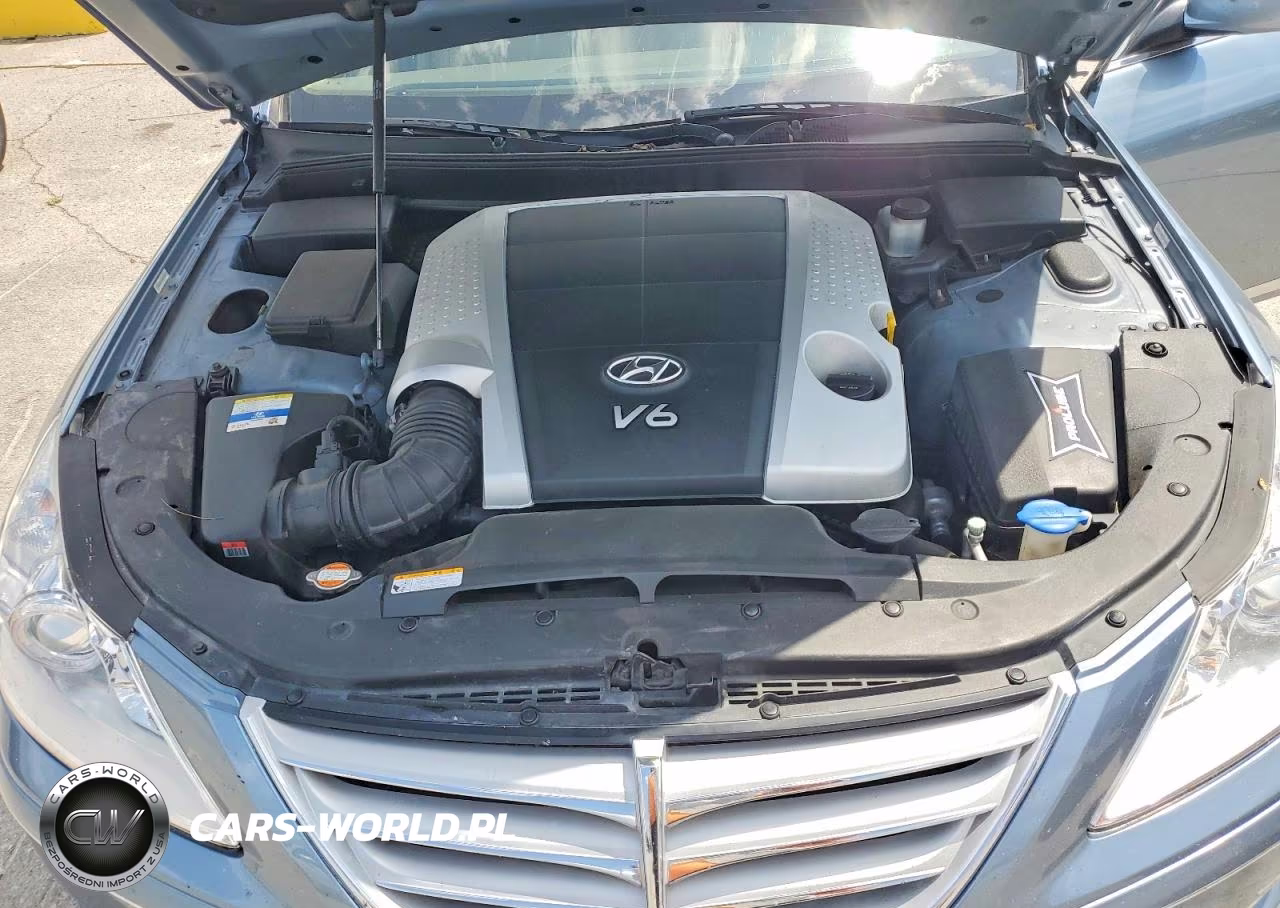 2011 Hyundai Genesis 3.8L VIN:KMHGC4DEXBU113965 - 11
