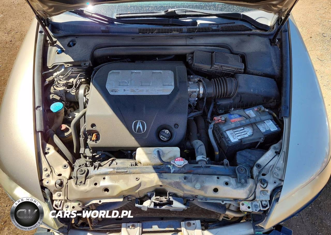 2007 Acura Tl VIN:19UUA66287A036650 - 11