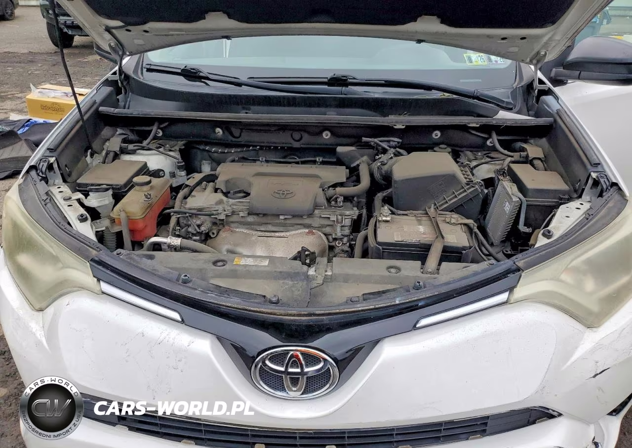 2016 Toyota Rav4 Le VIN:2T3BFREV3GW485689 - 12