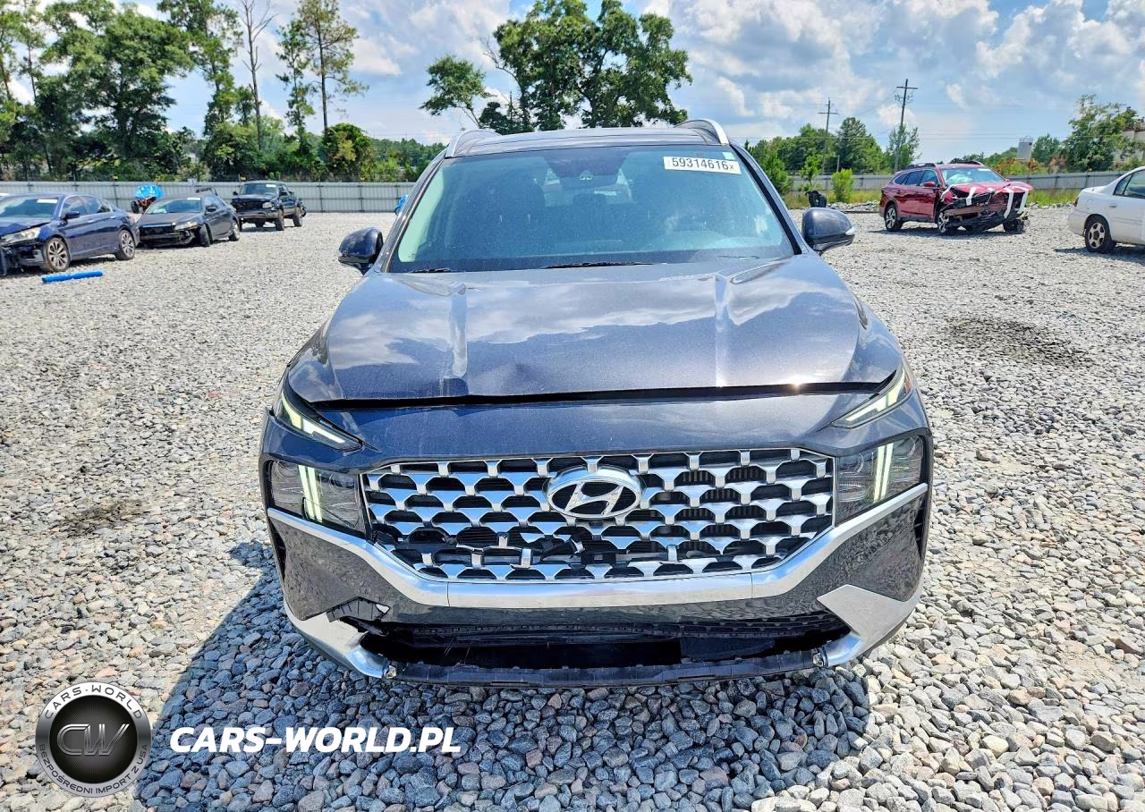 2021 Hyundai Santa Fe Limited VIN:5NMS44AL9MH364968 - 5