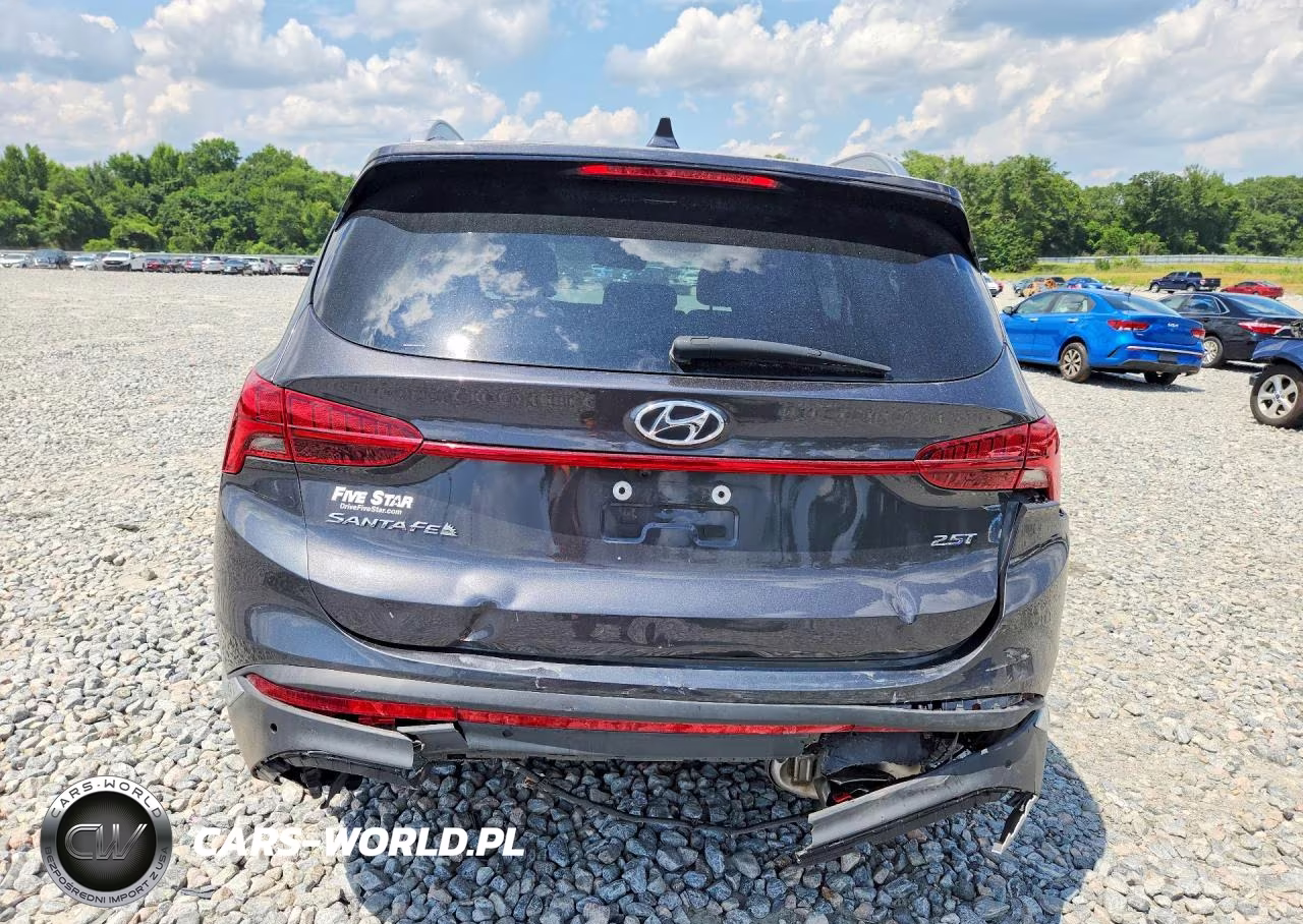 2021 Hyundai Santa Fe Limited VIN:5NMS44AL9MH364968 - 6