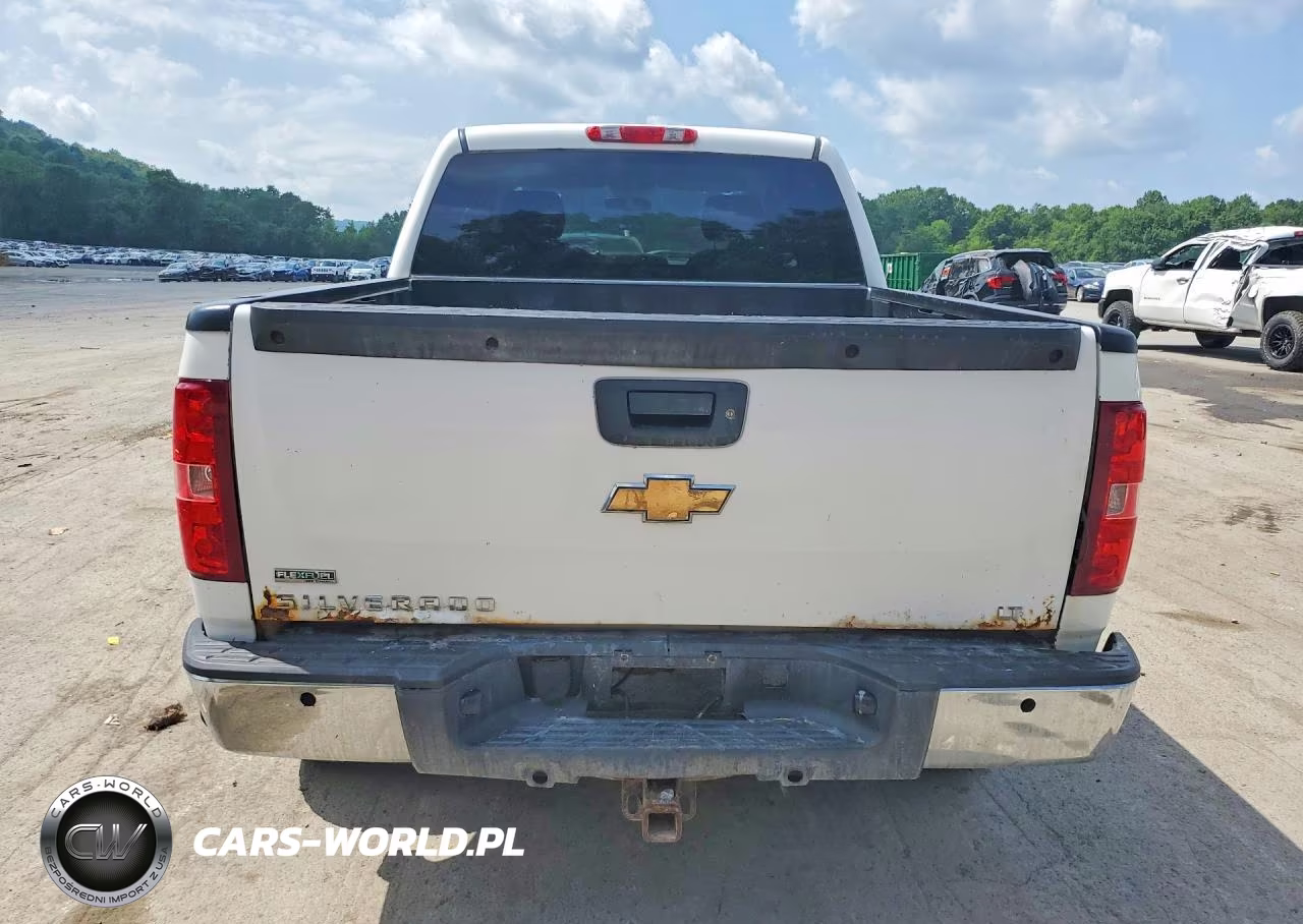 2010 Chevrolet Silverado K1500 Lt VIN:3GCRKSE3XAG149884 - 6