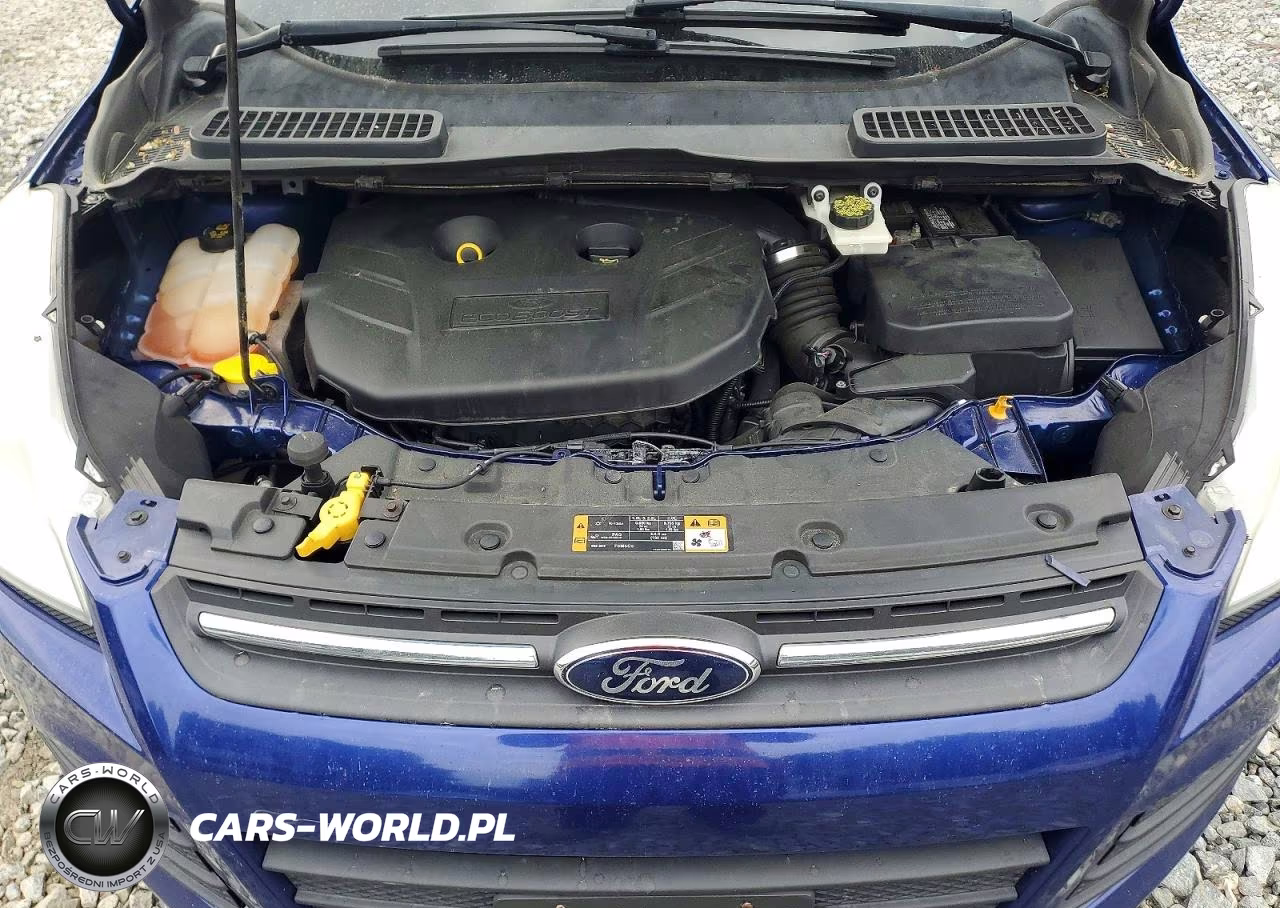 2014 Ford Escape Se VIN:1FMCU9G96EUD41232 - 12