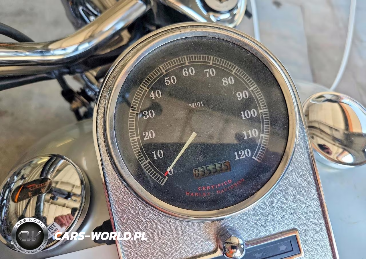 2003 Harley-Davidson Flhrci Anniversary VIN:1HD1FRW433Y738607 - 7