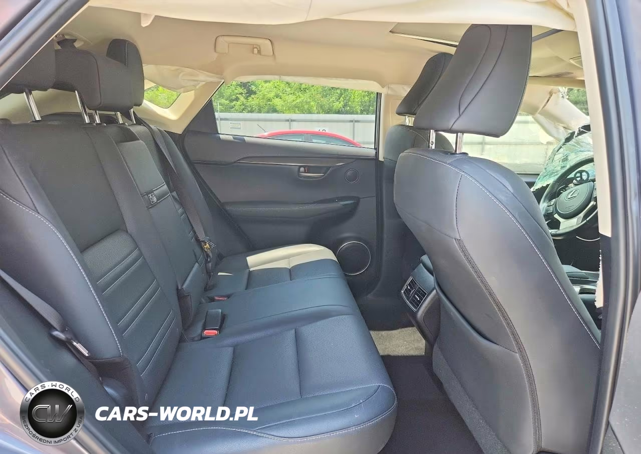 2021 Lexus Nx 300 Base VIN:JTJDARDZ9M2251053 - 11