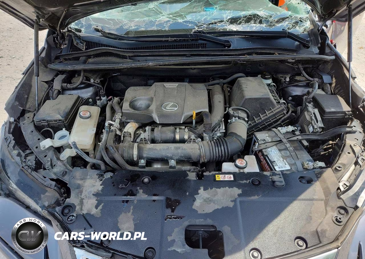 2021 Lexus Nx 300 Base VIN:JTJDARDZ9M2251053 - 12