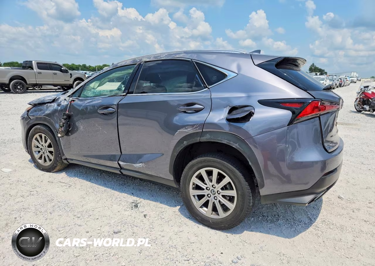 2021 Lexus Nx 300 Base VIN:JTJDARDZ9M2251053 - 2