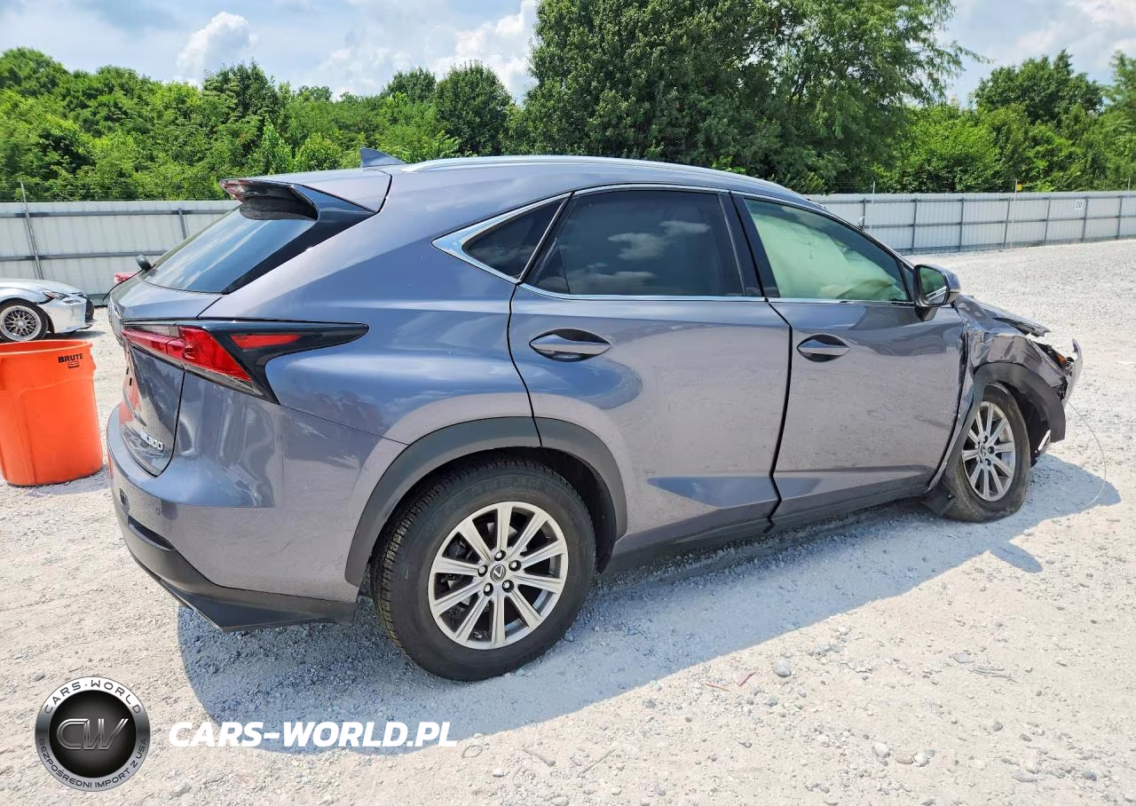 2021 Lexus Nx 300 Base VIN:JTJDARDZ9M2251053 - 3