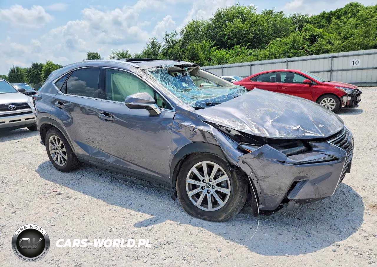 2021 Lexus Nx 300 Base VIN:JTJDARDZ9M2251053 - 4