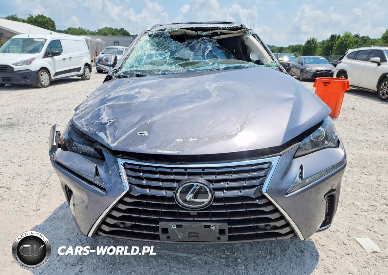 2021 Lexus Nx 300 Base VIN:JTJDARDZ9M2251053 - 5