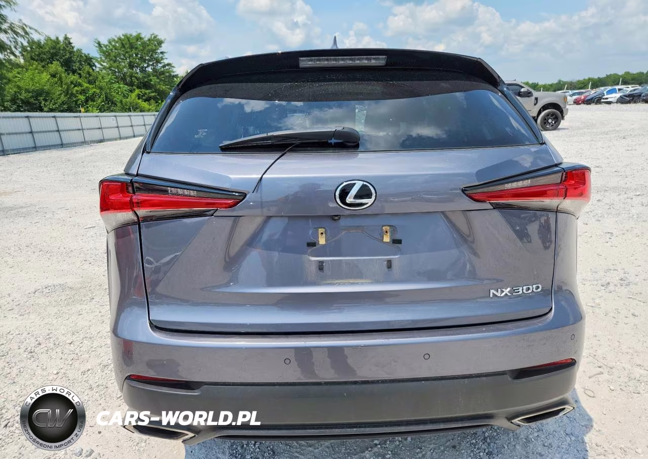 2021 Lexus Nx 300 Base VIN:JTJDARDZ9M2251053 - 6
