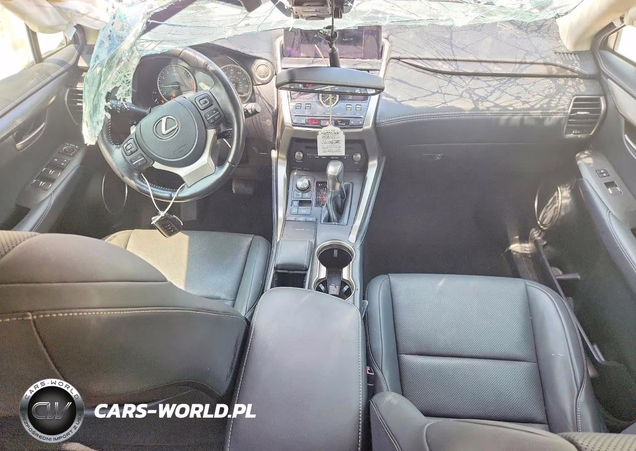 2021 Lexus Nx 300 Base VIN:JTJDARDZ9M2251053 - 8