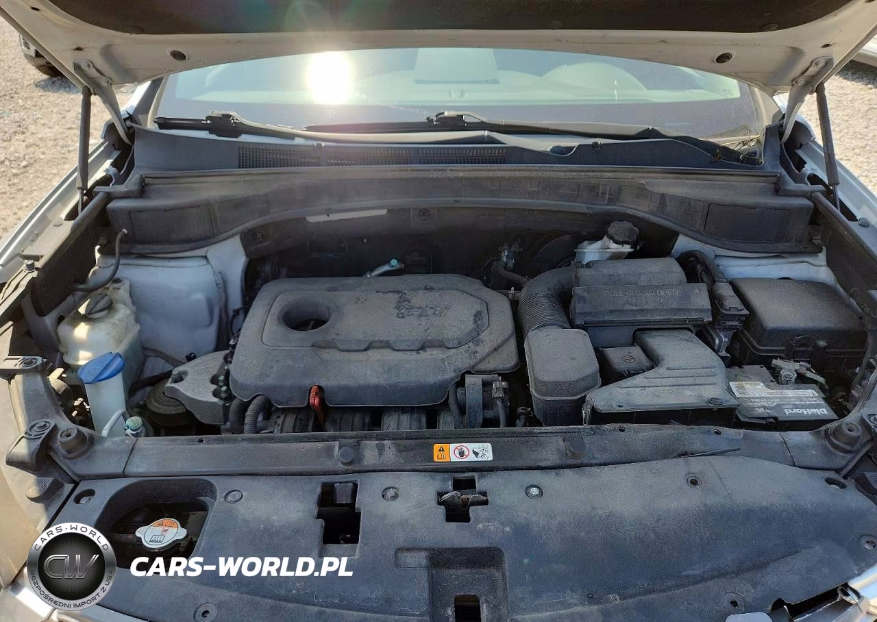 2018 Hyundai Santa Fe Sport 2.4L VIN:5XYZTDLB8JG509901 - 12