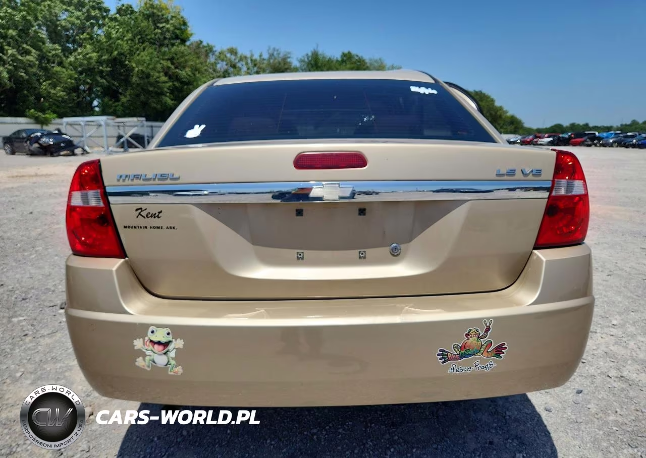 2004 Chevrolet Malibu Ls VIN:1G1ZT52844F215472 - 6