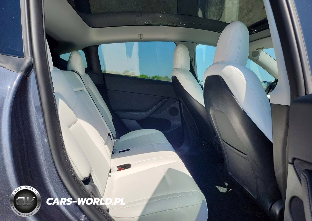 2023 Tesla Model Y VIN:7SAYGDEE1PF594865 - 10