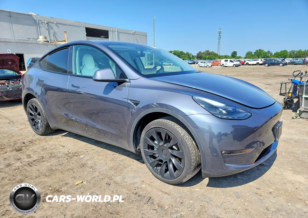 2023 Tesla Model Y VIN:7SAYGDEE1PF594865 - 4