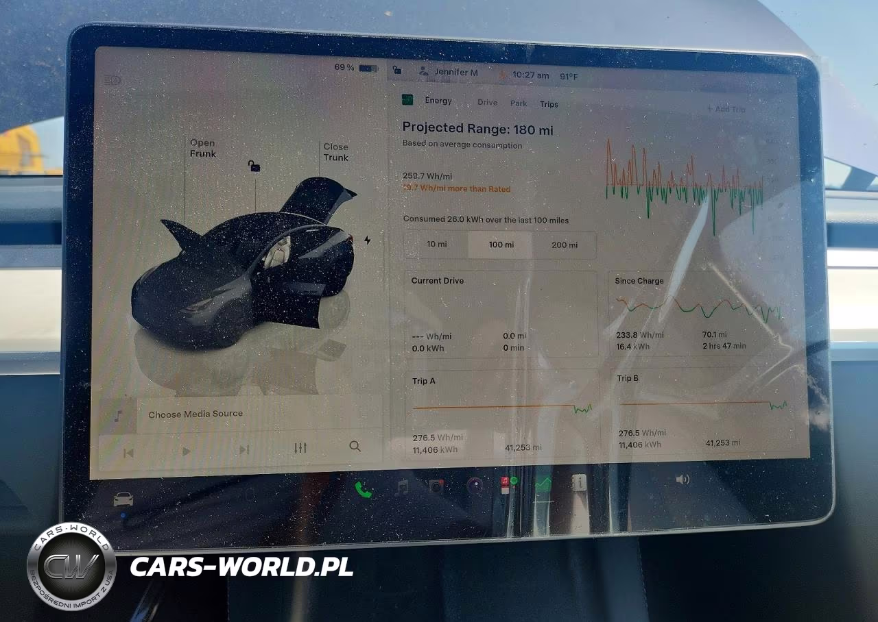 2023 Tesla Model Y VIN:7SAYGDEE1PF594865 - 9