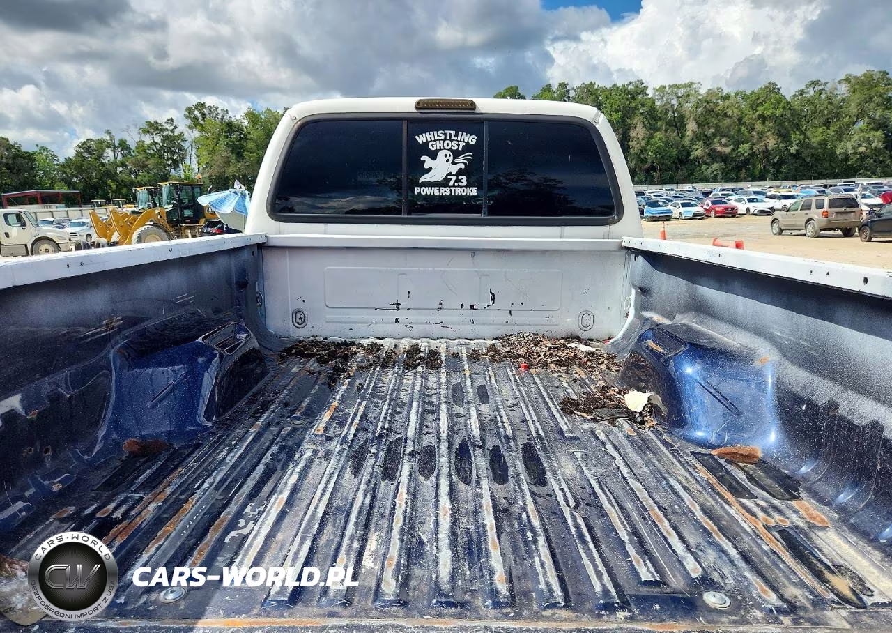 2003 Ford F350 Srw Super Duty VIN:1FTSW31F43EB10570 - 10