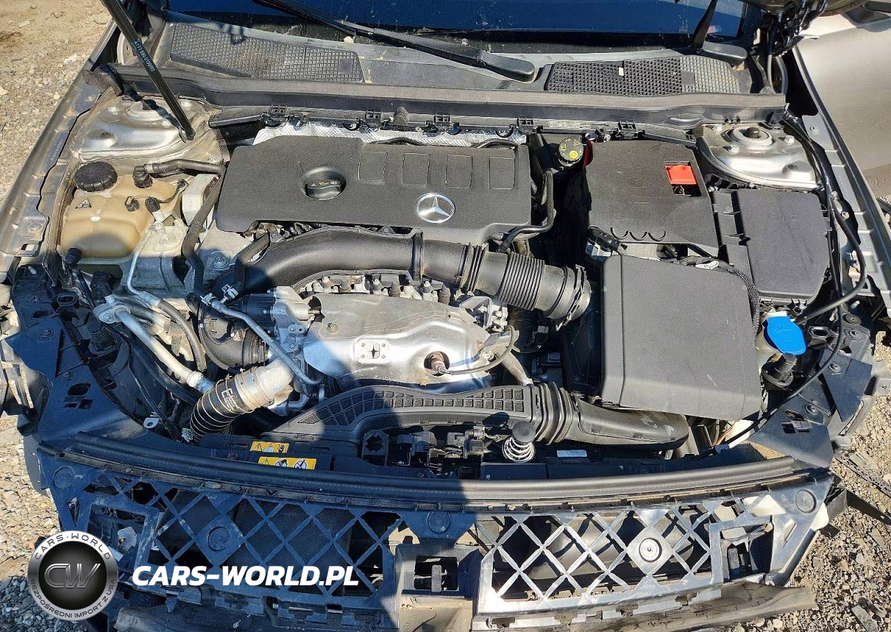 2019 Mercedes-Benz A 220 4Matic VIN:WDD3G4FB5KW024146 - 11