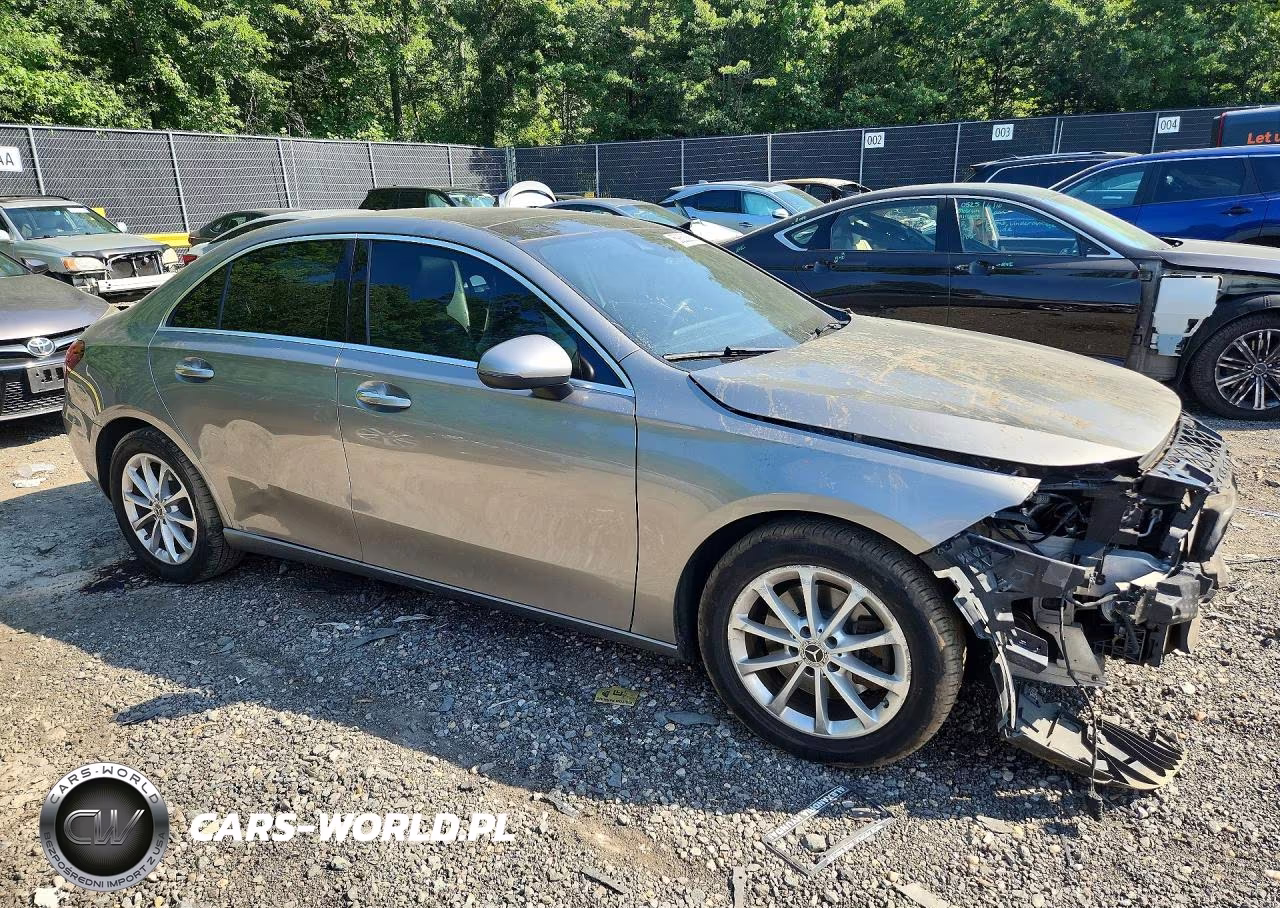 2019 Mercedes-Benz A 220 4Matic VIN:WDD3G4FB5KW024146 - 4