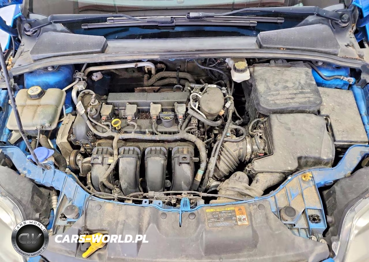 2012 Ford Focus Se VIN:1FAHP3F27CL460399 - 11
