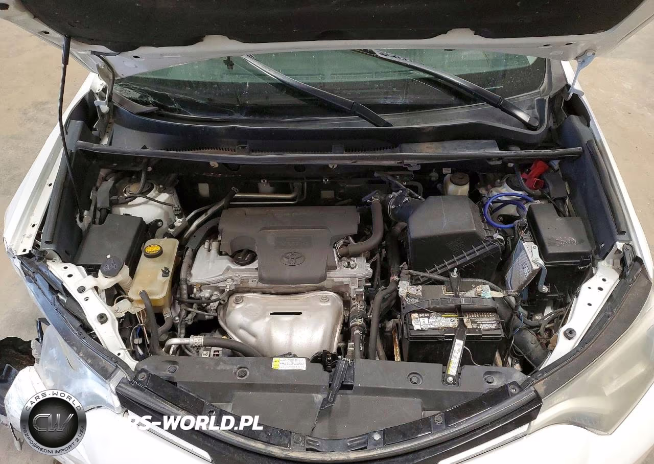 2016 Toyota Rav4 Xle VIN:2T3RFREVXGW443843 - 12