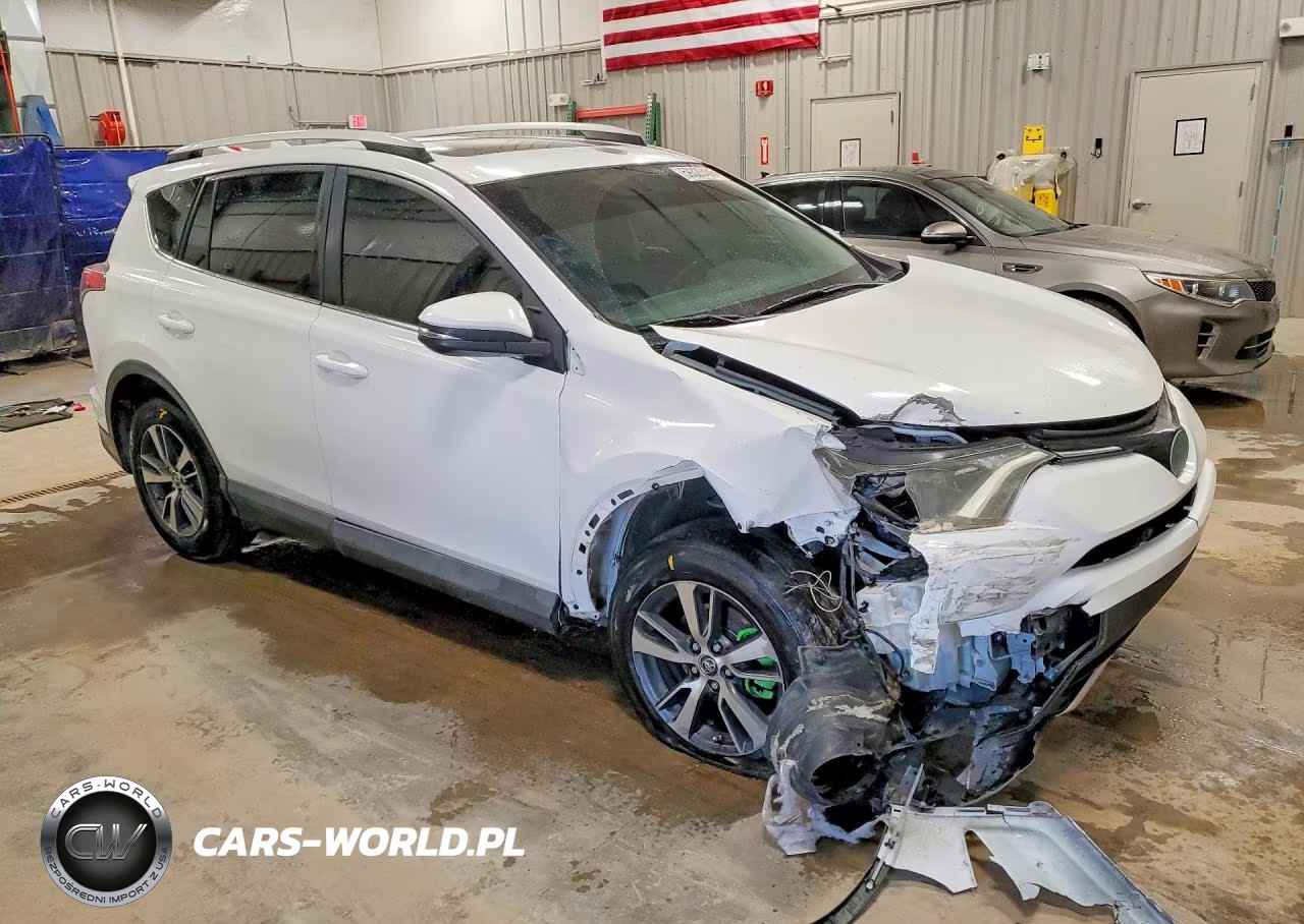 2016 Toyota Rav4 Xle VIN:2T3RFREVXGW443843 - 4