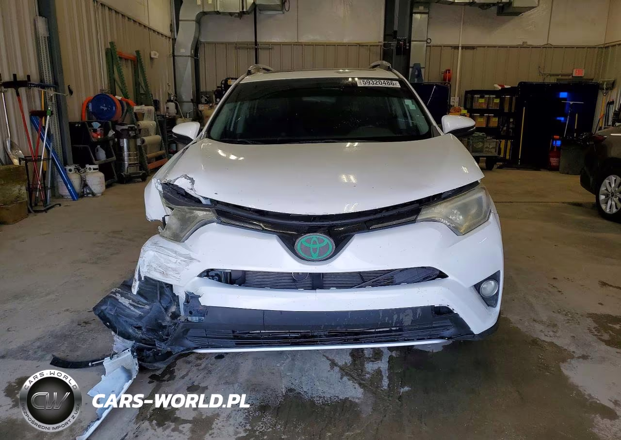 2016 Toyota Rav4 Xle VIN:2T3RFREVXGW443843 - 5