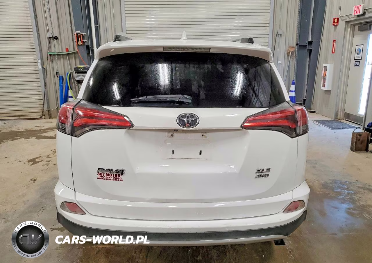 2016 Toyota Rav4 Xle VIN:2T3RFREVXGW443843 - 6