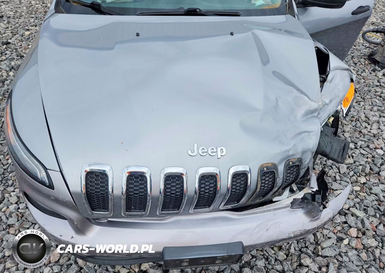 2014 Jeep Cherokee Sport VIN:1C4PJMAB5EW166828 - 12