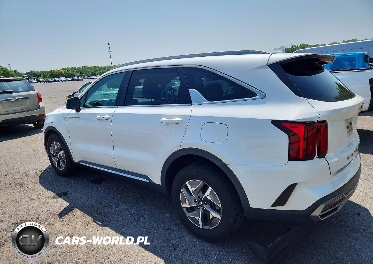 2021 Kia Sorento Ex VIN:KNDRH4LG3M5045331 - 2