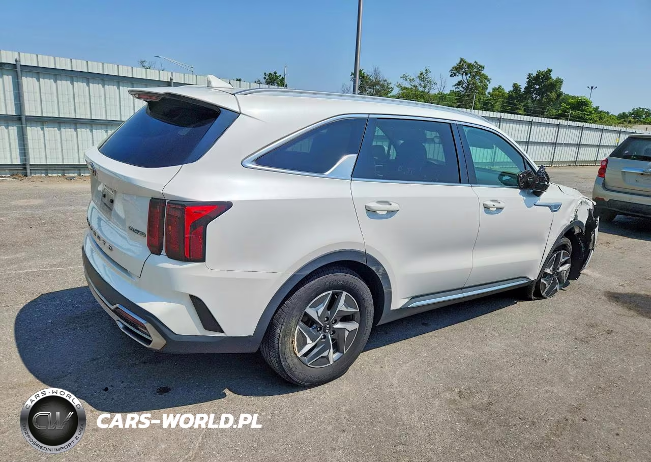 2021 Kia Sorento Ex VIN:KNDRH4LG3M5045331 - 3