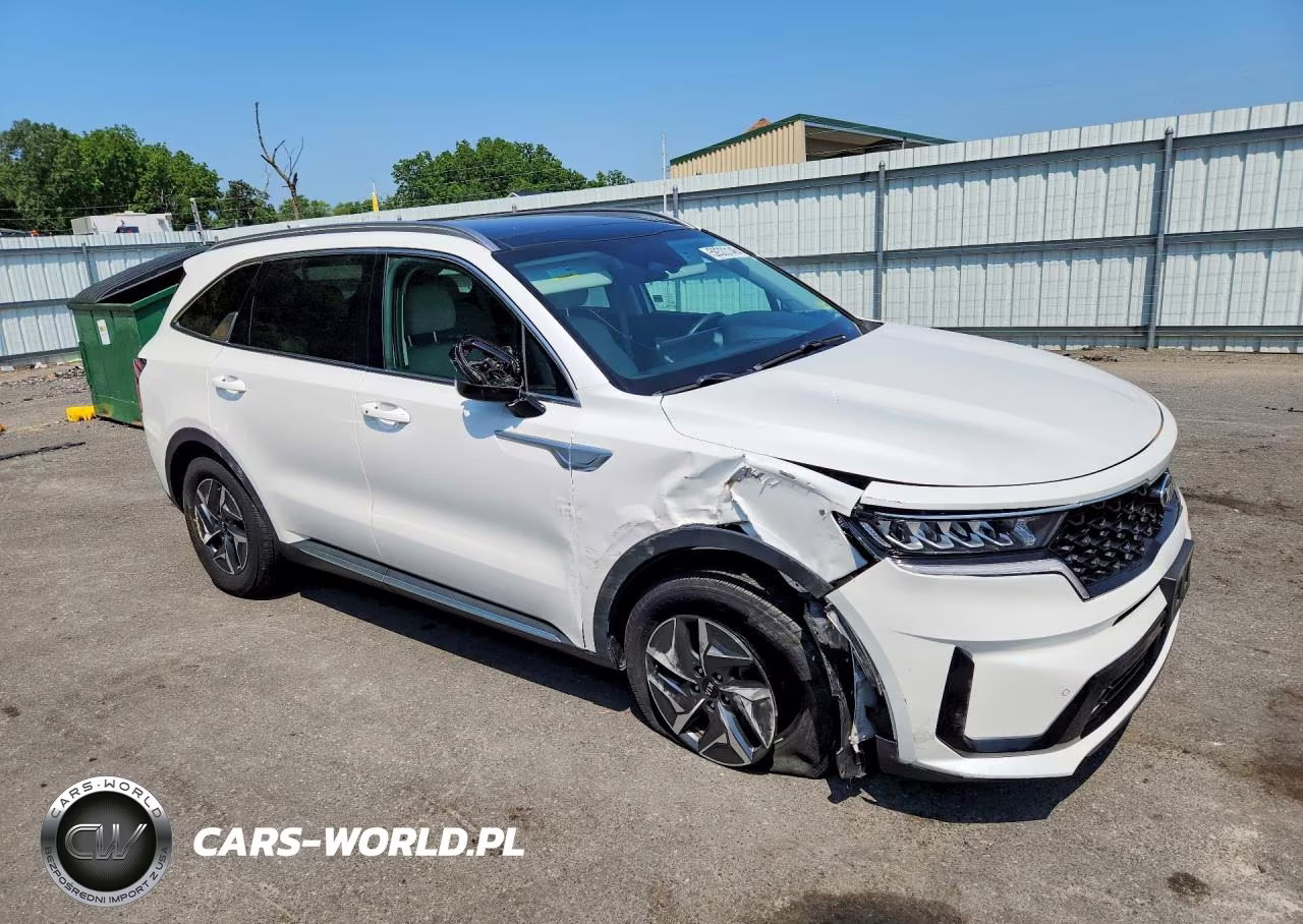 2021 Kia Sorento Ex VIN:KNDRH4LG3M5045331 - 4