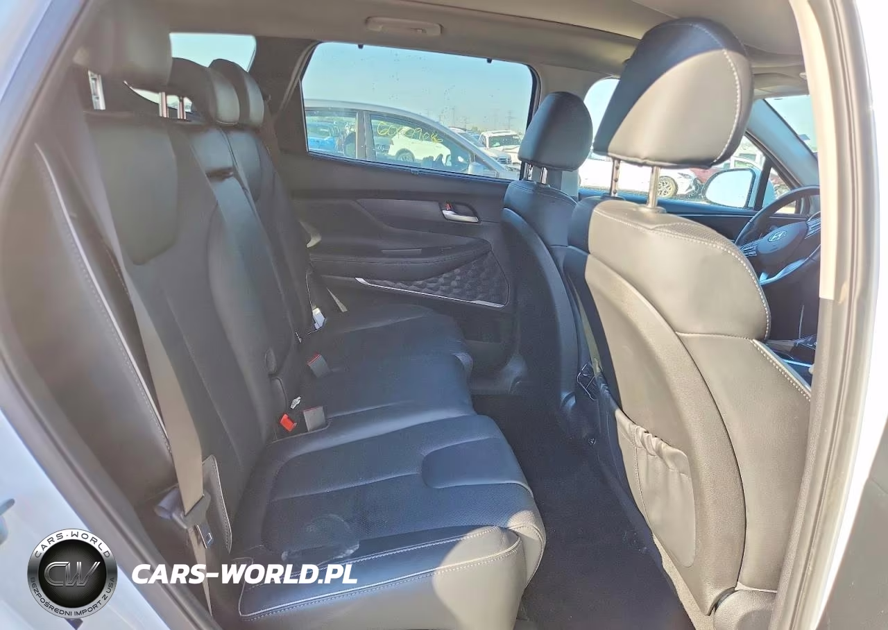 2021 Hyundai Santa Fe Sel VIN:5NMS3DAJ6MH352617 - 10