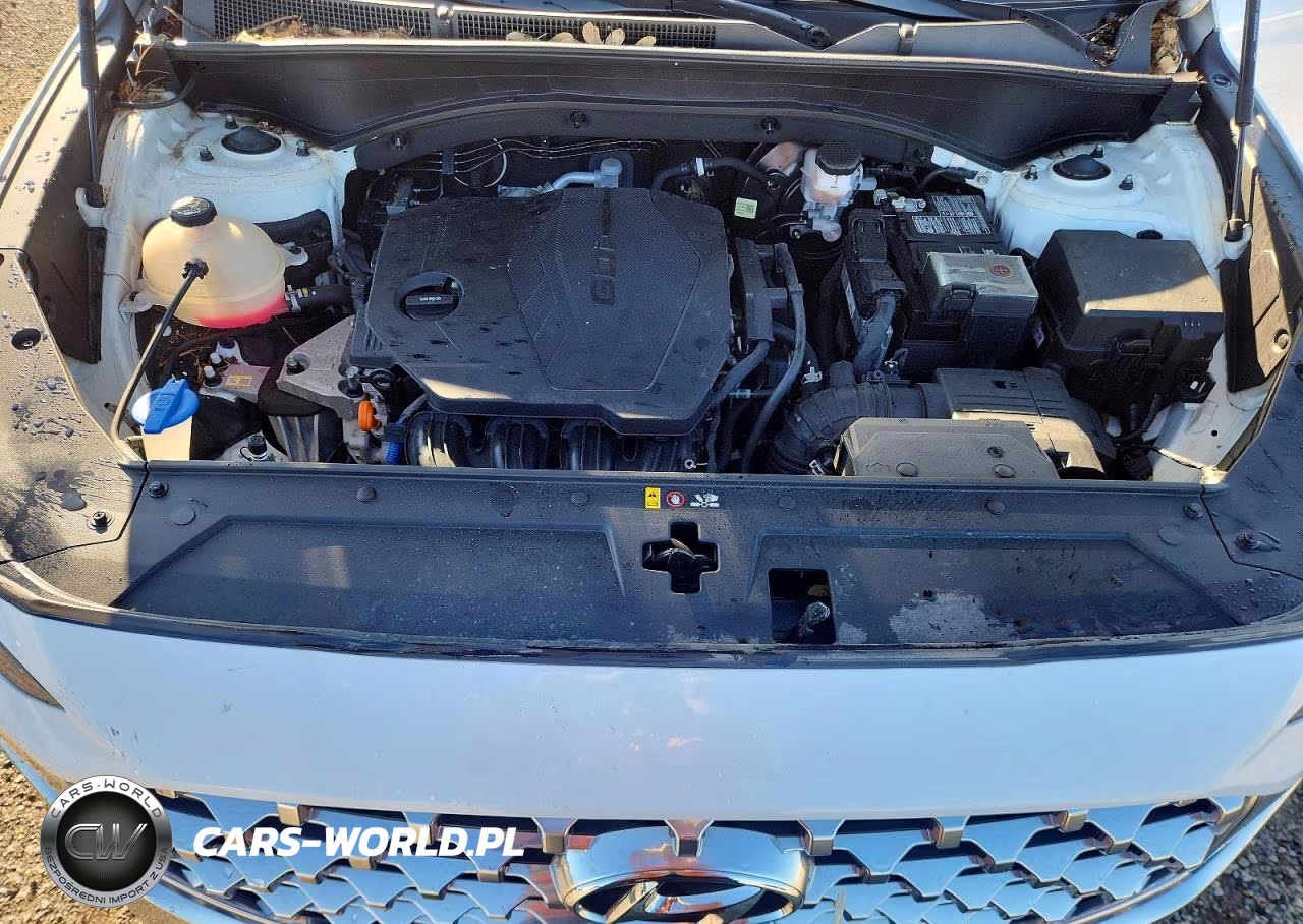 2021 Hyundai Santa Fe Sel VIN:5NMS3DAJ6MH352617 - 11