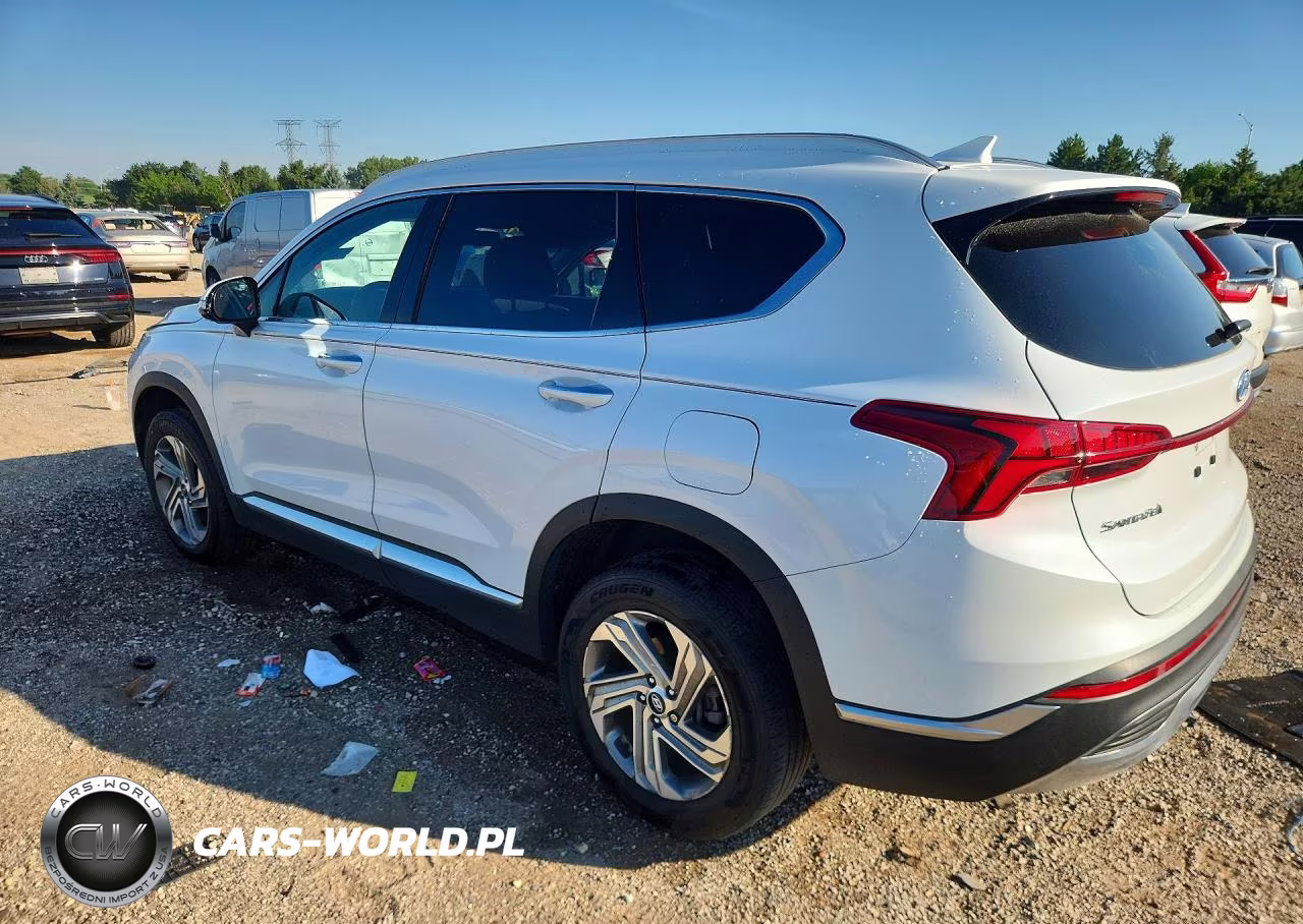 2021 Hyundai Santa Fe Sel VIN:5NMS3DAJ6MH352617 - 2