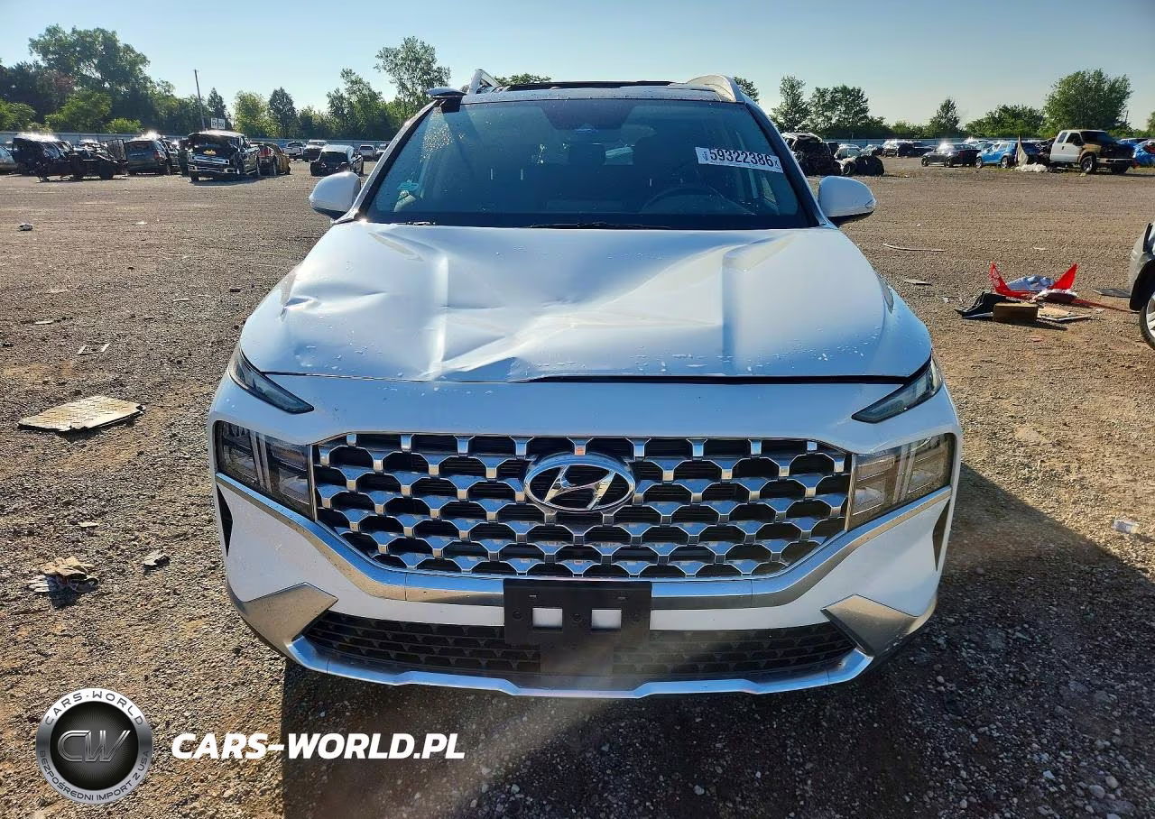 2021 Hyundai Santa Fe Sel VIN:5NMS3DAJ6MH352617 - 5